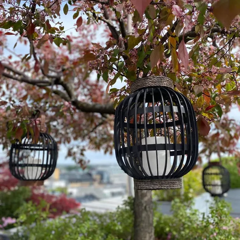 Kveldslys over Oslo